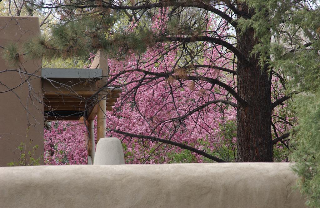 Touchstone Inn Taos Luaran gambar